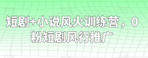 短剧+小说风火训练营，0粉短剧风行推广