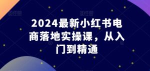 2024最新小红书电商落地实操课，从入门到精通
