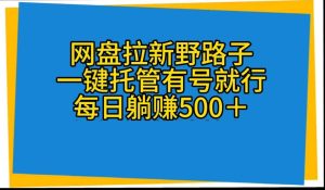 （10468期）网盘拉新野路子，一键托管有号就行，全自动代发视频，每日躺赚500＋