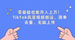 零基础也能月入上w，TikTok风景视频搬运，简单去重，无脑上传
