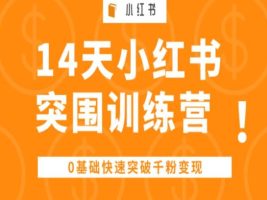 14天小红书突围训练营 ，0基础快速突破千粉变现