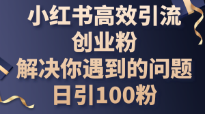 （10929期）小红书高效引流创业粉，解决你遇到的问题，日引100粉