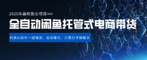【闲鱼全自动电商带货】三年磨一剑，一朝露锋芒，长期稳定项目，单日稳定变现5张