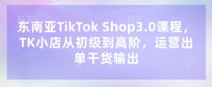 东南亚TikTok Shop3.0课程，TK小店​从初级到高阶，运营出单干货输出