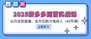 （14259期）2025拼多多运营实战课，从开店到直播，全方位助力电商人（40节课）