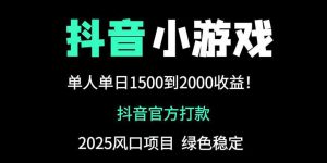 （14527期）抖音官方小游戏2025全网最新玩法，暴利赚钱项目，单机日入2000+