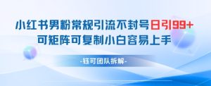 小红书男粉常规引流不封号日引99+变现简单 可矩阵可复制小白容易上手