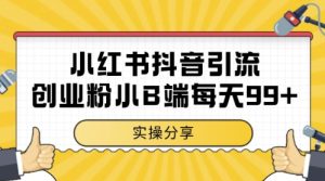 小红书抖音创业粉，小B端粉自热，日引99+的一个玩法