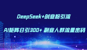 DeepSeek+创业粉引流 AI矩阵日引300+ 副业人群流量密码