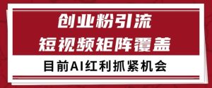 小红书某音创业赛道引流获客 自热矩阵日引200+