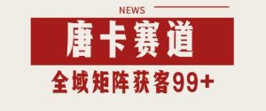 小红书某音唐卡赛道引流获客 自热矩阵日引200+
