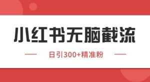 小红书截流同行客源，独家野路子获客玩法 日引200+暴力获客