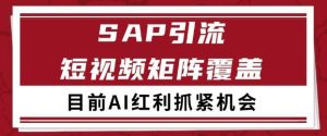 小红书某音sap赛道引流获客 自热矩阵日引200+