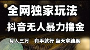 全网独家玩法抖音无人暴力撸金，月入3W，有手就行，当天拿结果