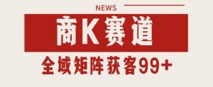 小红书某音商K赛道引流获客 自热矩阵日引200+