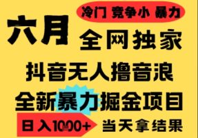 25年6月高爆抖音无人直播最新撸音浪掘金项目，小白可做，无脑日入1k+，门槛低可批量矩阵