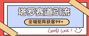 小红书某音塔罗赛道引流获客 自热矩阵日引200+