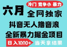 2025年6月高爆抖音无人直播最新撸音浪掘金项目，无脑日入1k+，低门槛小白可做，可矩阵放大
