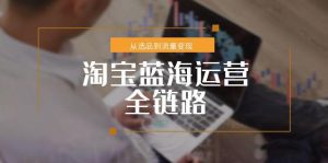 （15160期）淘宝蓝海运营全链路，从选品到流量变现，小类目突围完整方案