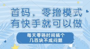 首码零撸项目，有快手就可以做，每天业务时间搞个几张不是问题