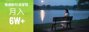 （15229期）情感粉引流变现实操课：单月变现6w+，情感粉引流变现实操课