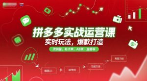 拼多多实战运营课，实时玩法，爆款打造，改销量，补大单，AB单，直播等（更新2025月）