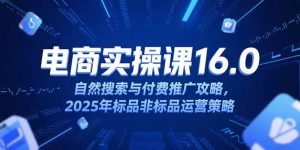 （15262期）淘宝电商运营课16.0，自然搜索与付费推广攻略，2025年标品非标品运营策略