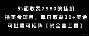 外面收费2980的挂G撸美金项目，单日收益30+美金，可批量可矩阵