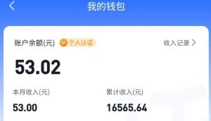 适合空闲时间操作的小红书低保项目，小红薯发布笔记，单个账号每天可获得2-12元左右