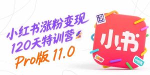（15432期）小红书涨粉变现120天特训营Pro版11.0：从0到1掌握平台运营,内容制作和变现