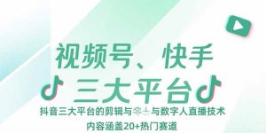 （15449期）视频号、快手、抖音三大平台的剪辑与数字人直播技术，内容涵盖20+热门赛道