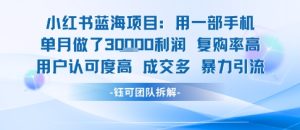 小红书蓝海项目，一部手机单月做了3W利润，小白也能月入过1W用户认可度高成交多