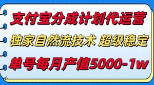 支付宝分成计划代运营，独家自然流技术，收益稳定，单号月产5000＋
