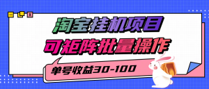 揭秘2025最新淘宝挂机项目，单号30-100，可矩阵批量操作（附工具）