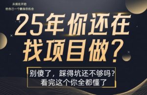 25年，你还在疯狂的找项目吗？别傻了，看完这个你都懂了