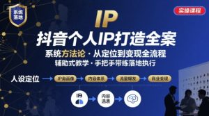 抖音个人IP系统落地实操大课，实操课程，辅助落地