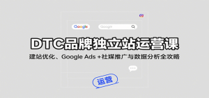 DTC品牌独立站运营课：建站优化、Google Ads + 社媒推广与数据分析全攻略