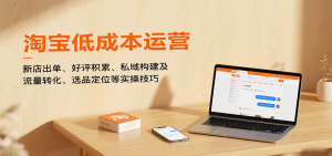 淘宝低成本运营，新店出单、好评积累、私域构建及流量转化、选品定位等实操技巧