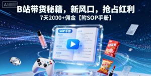 B站带货秘籍，新风口，抢占红利，7天2k+佣金【附SOP手册】