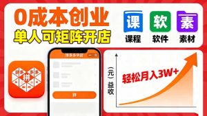 （16047期）拼多多虚拟电商，0成本，单人可矩阵开店，轻松月入3W+