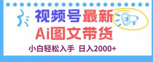 （16092期）视频号最新AI图文带货，每天几分钟，小白轻松入手，日入2000+