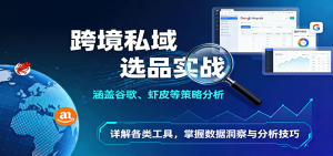 跨境私域选品实战：涵盖谷歌、虾皮等策略分析，详解各类工具，掌握数据洞察与分析技巧