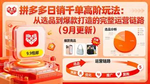 （16100期）拼多多日销千单高阶玩法：从选品到爆款打造的完整运营链路（9月更新）