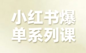 小红书爆单系列课，聚焦小红书电商全链路增长