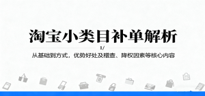 淘宝小类目补单解析：从基础到方式，优势好处及稽查、降权因素等核心内容