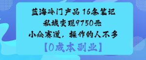 蓝海冷门产品：16条笔记私域变现9750米小众赛道，操作的人不多