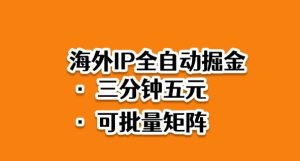 海外ip全自动掘金，2025必做蓝海项目，3分钟落地，矩阵直接开干