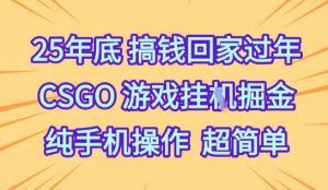 25年底搞钱回家过年，CSGO游戏挂G掘金，纯手机操作超简单
