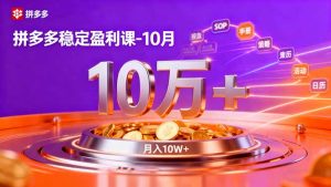 （16413期）拼多多稳定盈利课-10月，强付费SOP+微付费高投产+活动矩阵，单店月入10万+