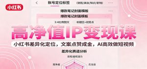 高净值IP变现课：小红书差异化定位，文案点赞成金， AI高效做短视频